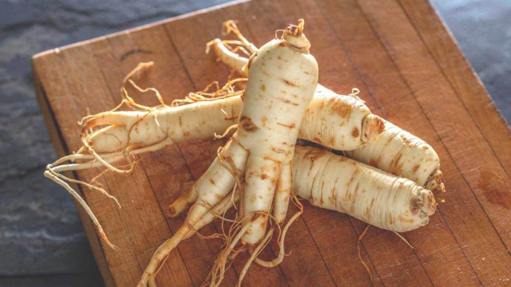 Health Benefits of Ginseng