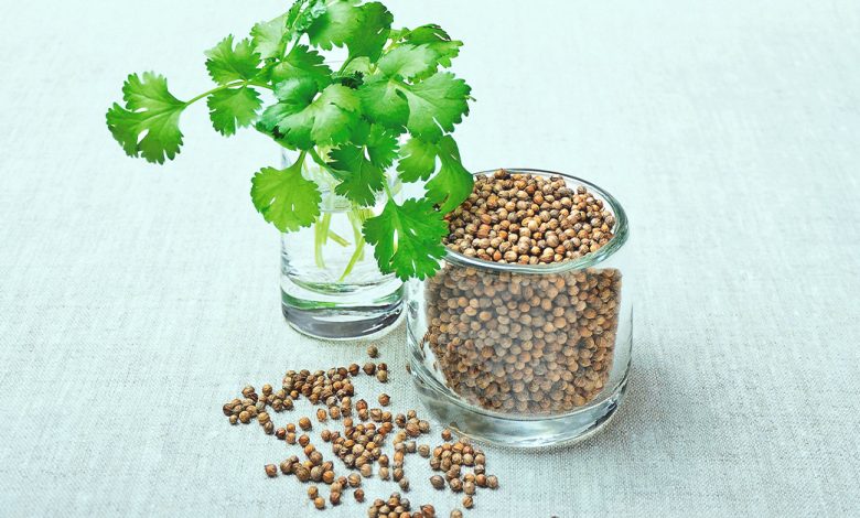 Coriander Seeds