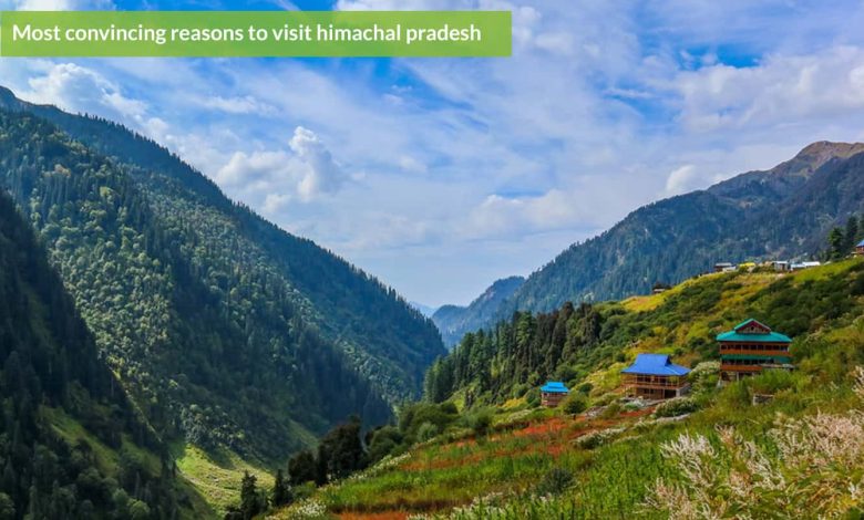 best things to do in Himachal Pradesh