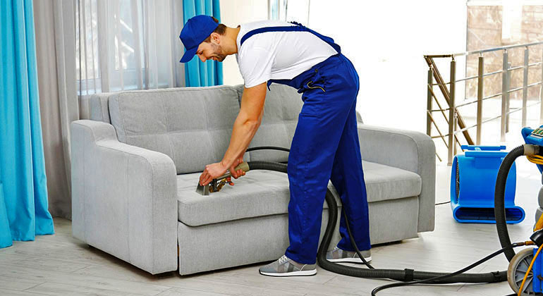 sofa cleaning