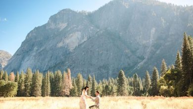 Elope in Yosemite