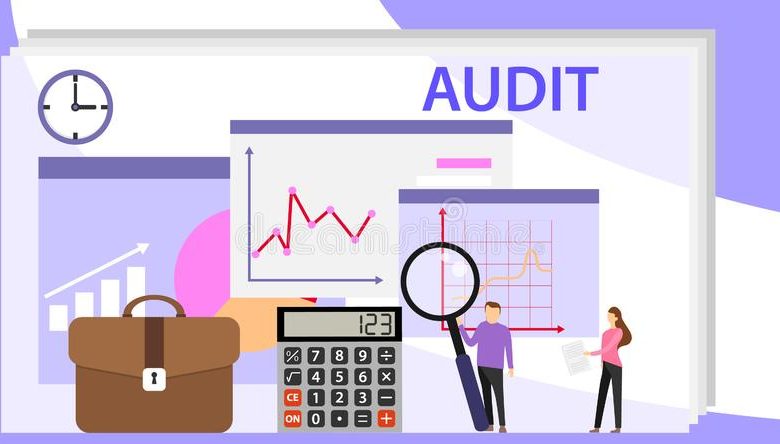 Financial Audit