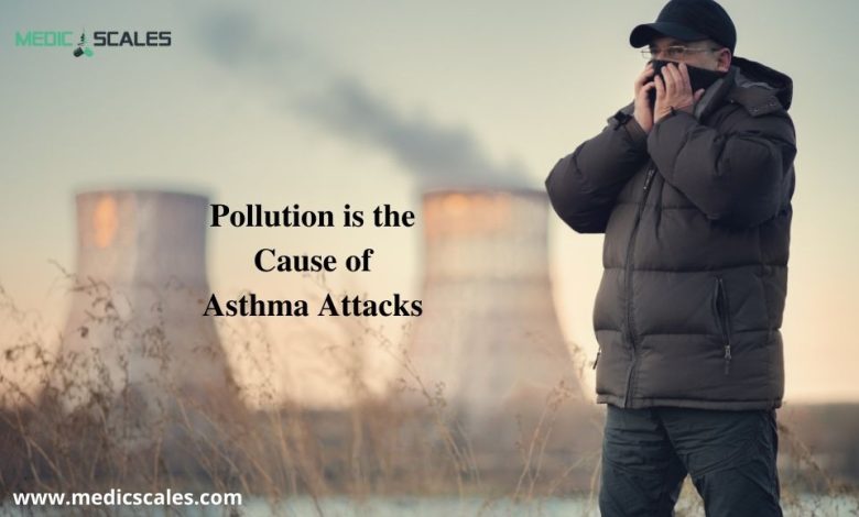 Pollution is the Cause of Asthma Attacks