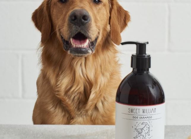 Dogs Shampoo