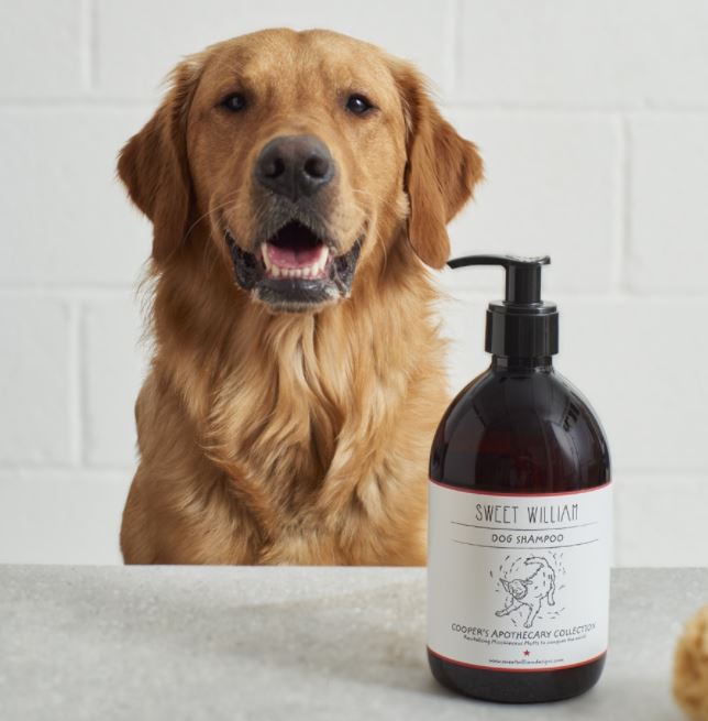 Dogs Shampoo