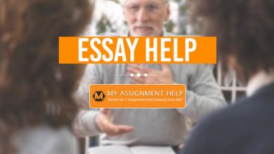 essay help