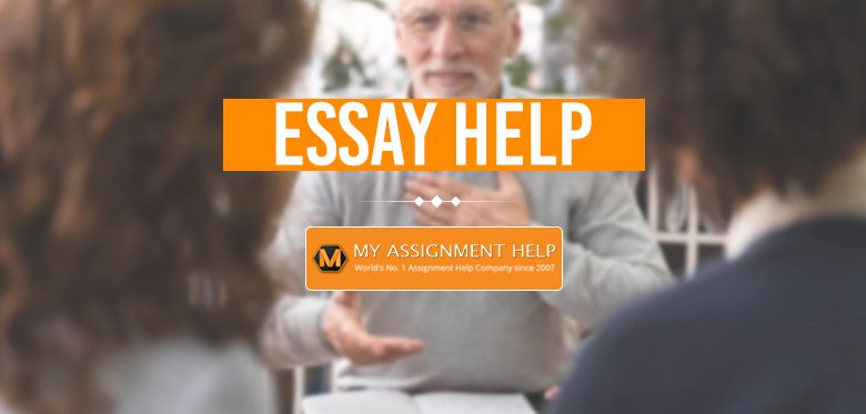 essay help