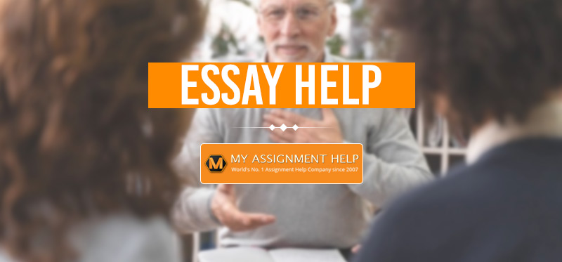 essay help