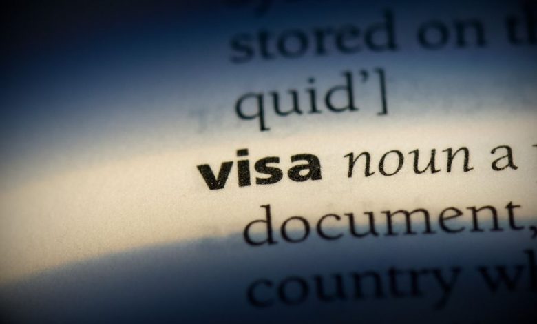 Pro Visa Services