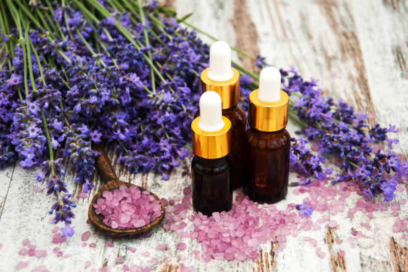 There are many benefits for applying lavender oil in the hair, know how to use this oil