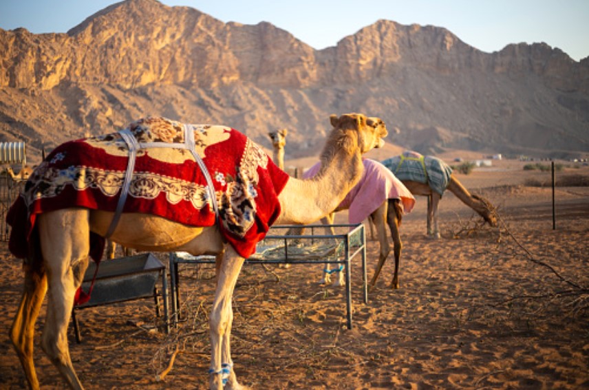 hajar mountains