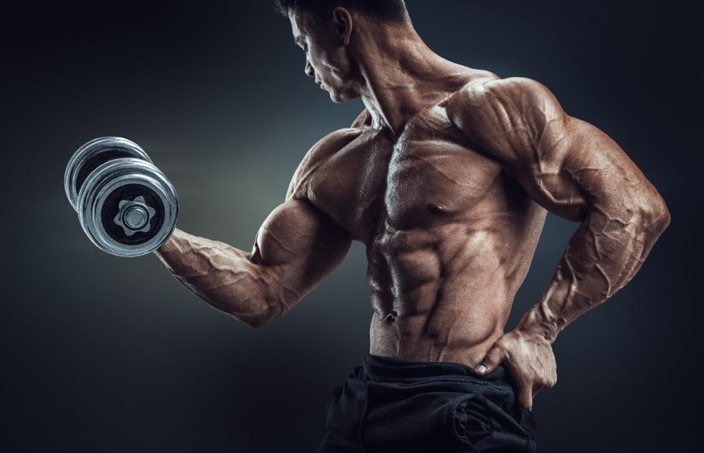 How Do SARMs Help You Bulk Up or Lose Mass Fat?