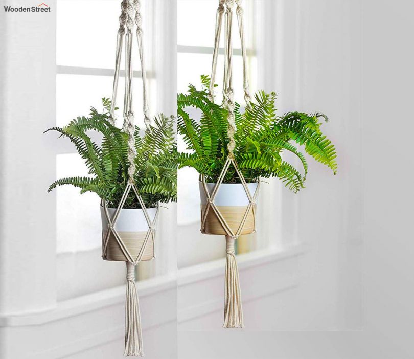 wall planters