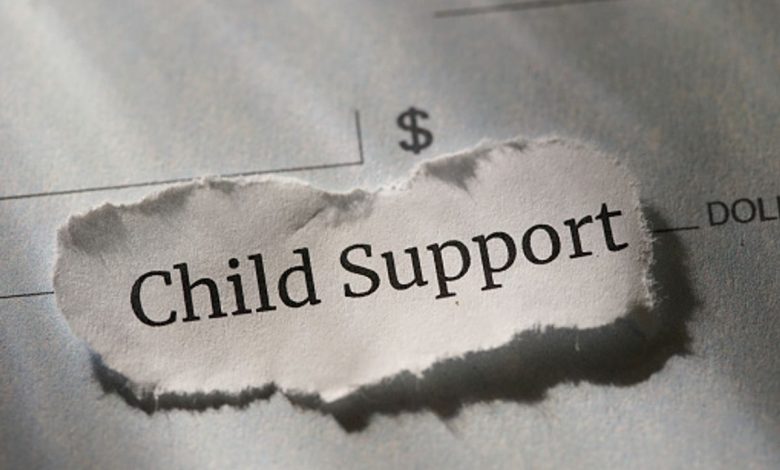 Stepping Into the World of Child Support