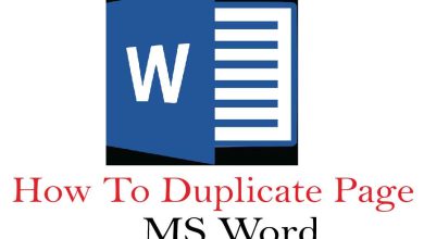 ms word-01