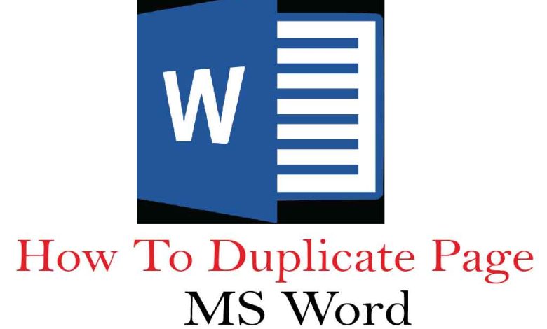 ms word-01