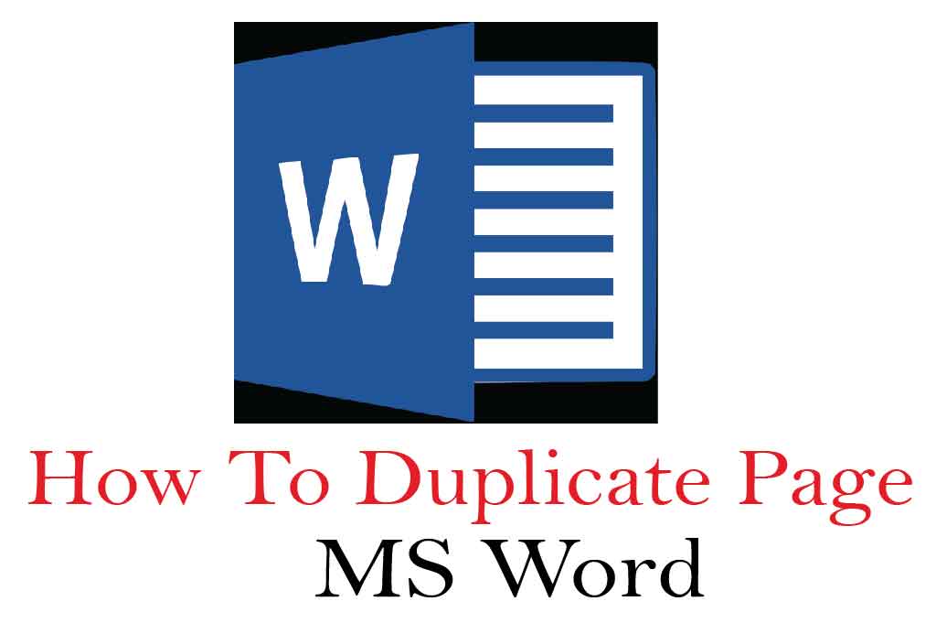 ms word-01