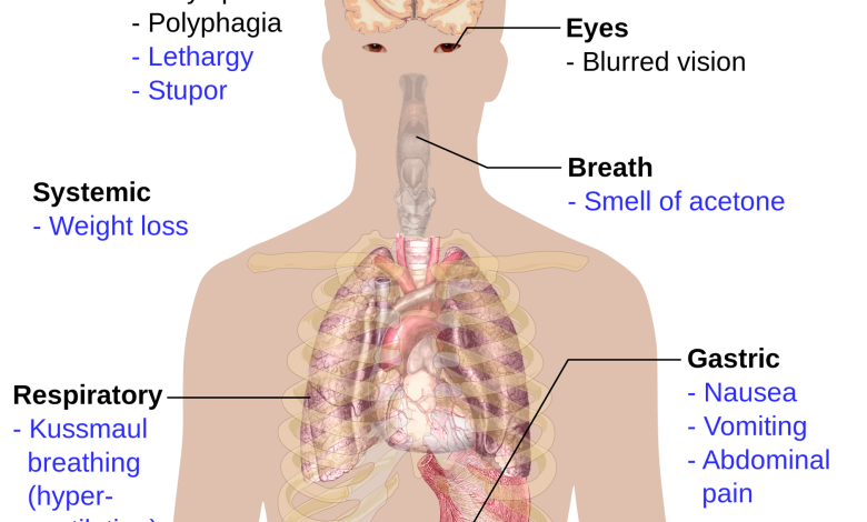 Human internal body