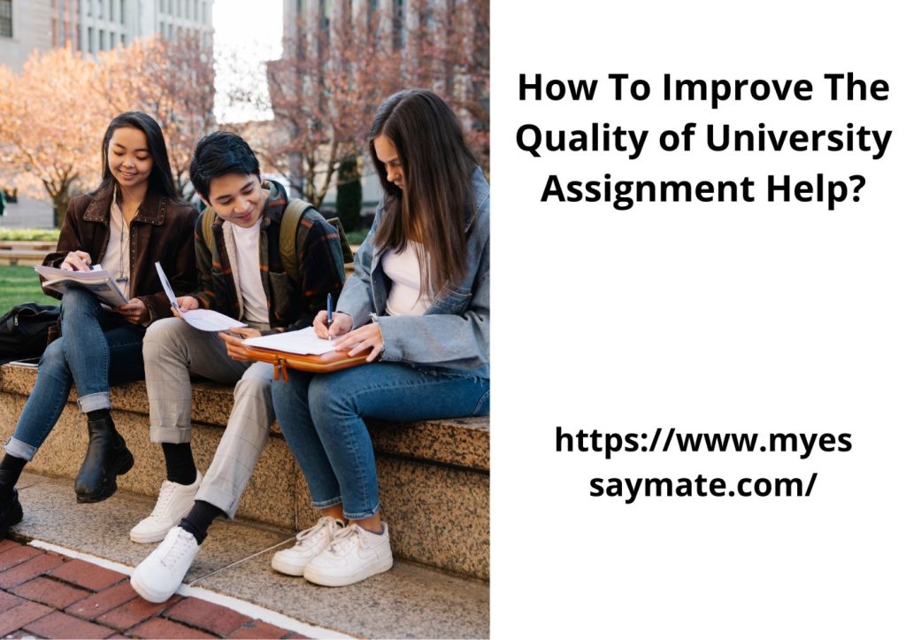 university assignment help